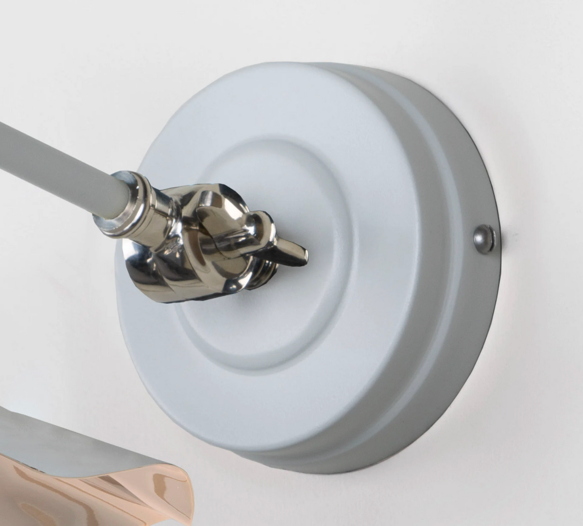 Smooth Nickel Flora Wall Light Birch Ceiling Light
